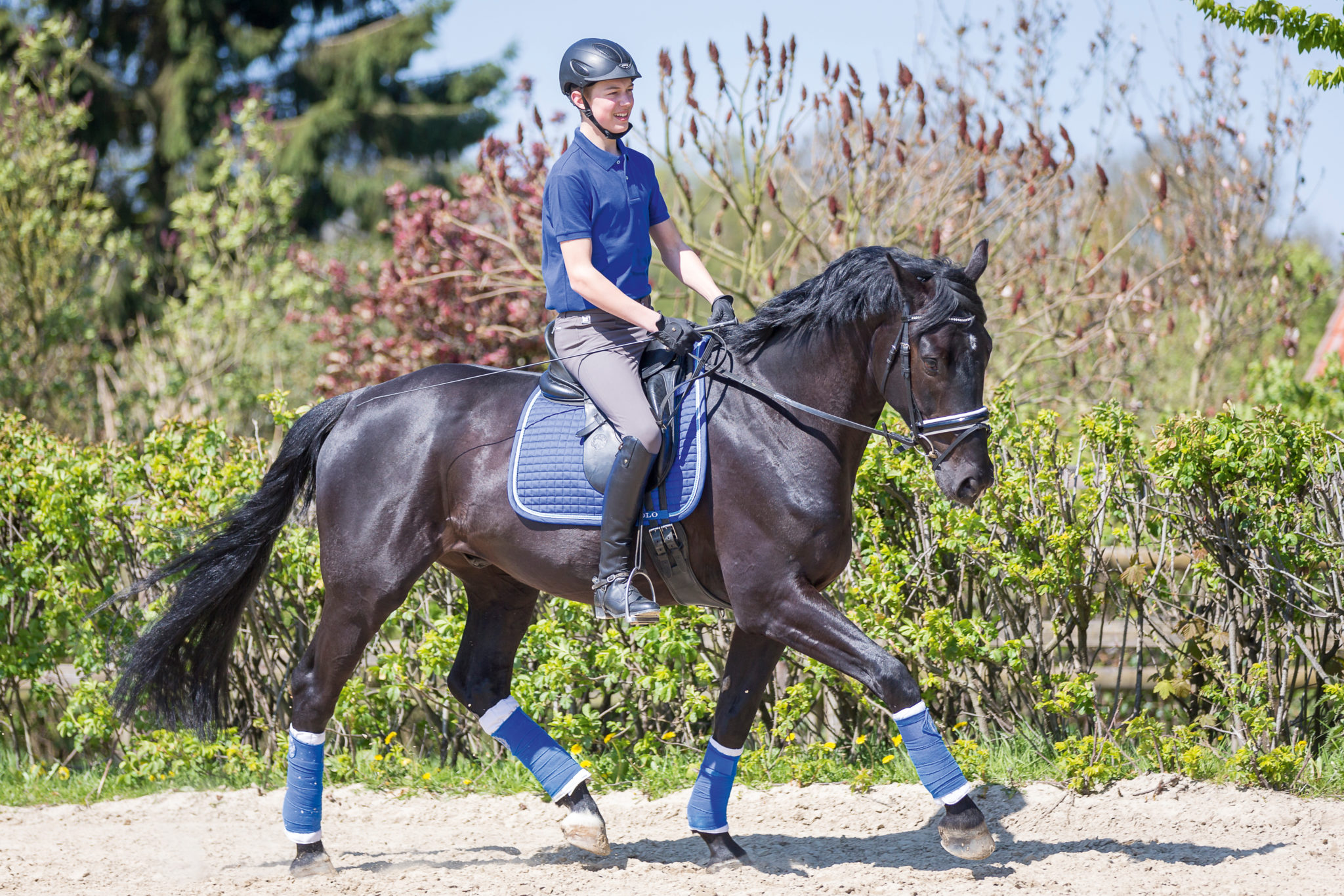 Die Grundgangarten Schritt, Trab, Galopp beurteilen und reiten › Pferde Fit Vital Die Grundgangarten Schritt, Trab, Galopp beurteilen und reiten › Pferde Fit Vital