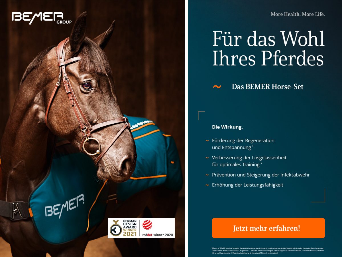 Das BEMER HorseSet › Pferde Fit Vital