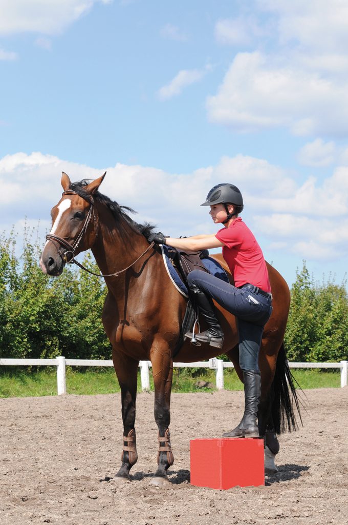 Reiten Trab Auf Der Stelle Kreuzworträtsel Die Grundgangarten – Schritt, Trab, Galopp beurteilen und reiten